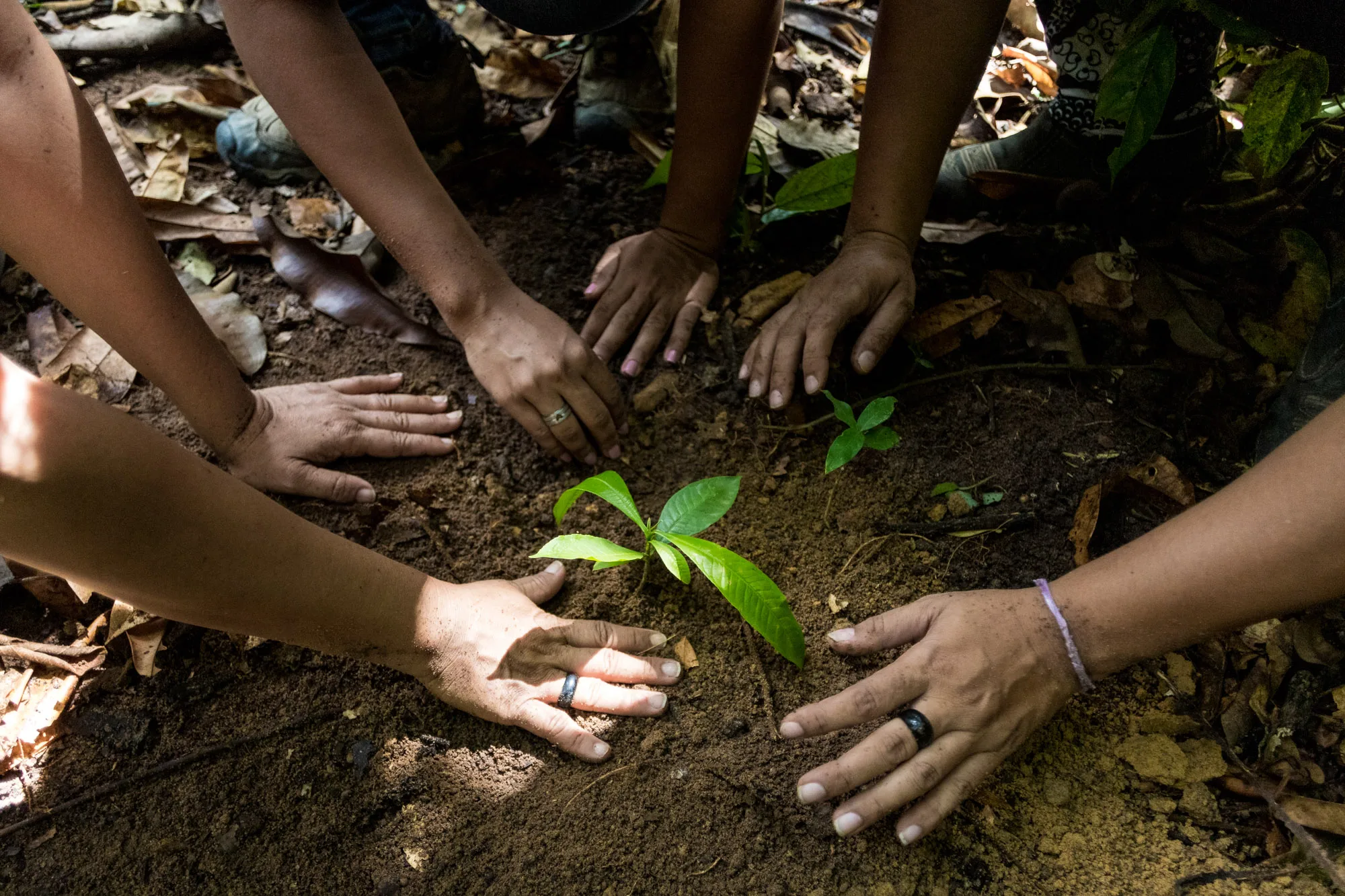 A justiça climática reconhece que as mudanças climáticas afetam mais os grupos socialmente vulneráveis