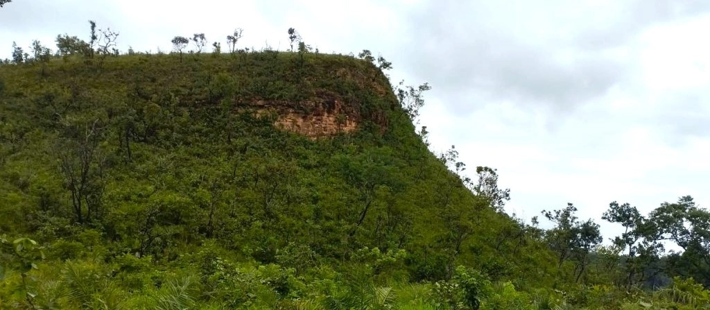 Reflorestar sonhos no Cerrado maranhense 7 O Assentamento Vida Nova está localizado no Cerrado maranhense. (Foto: Luís Augusto Soares)