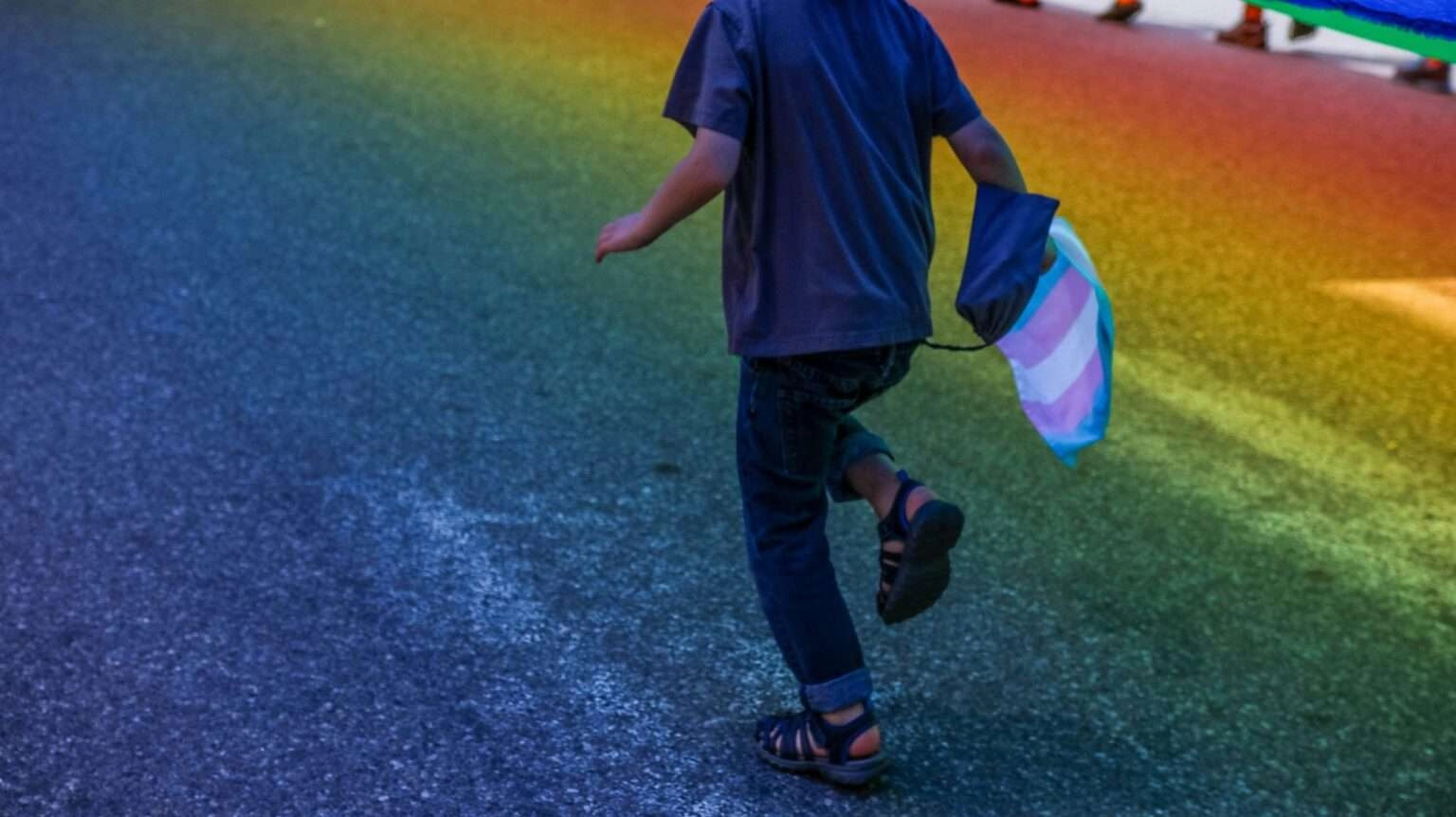 Mais de 100 projetos de lei atacam direitos de crianças LGBTQIA+ (foto: Agência Diadorim)