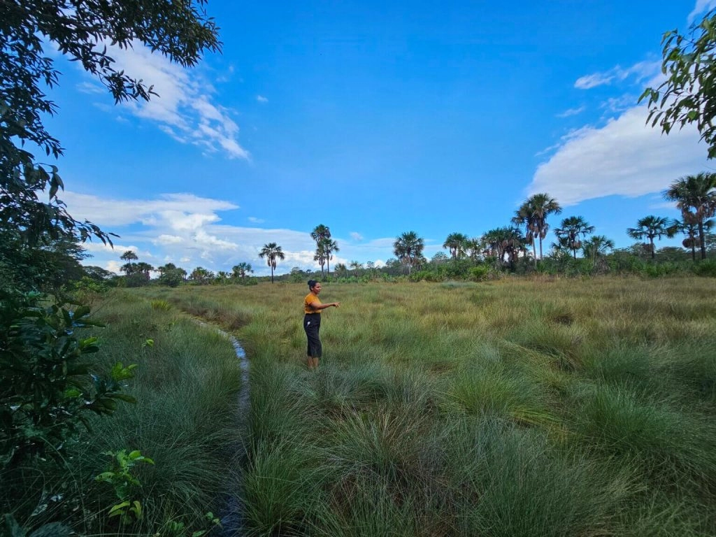Com 200 anos de existência, comunidades quilombolas ainda lutam por titulação e reconhecimento 4 Raimunda Ribeiro e o território do Quilombo Macacos. Foto: Cássio Bezerra/Acervo ISPN