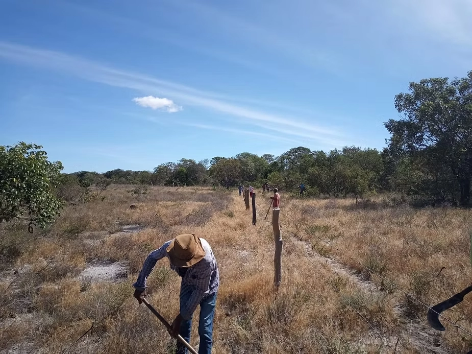 Comunidades fazem uso tradicional e coletivo do território para sua subsistência, com práticas de pastoreio comunitário, coleta de frutos nativos, ervas medicinais, preservação da vegetação do Cerrado e proteção das nascentes. Fecho Entre Morros - Imagens cedidas pela comunidade