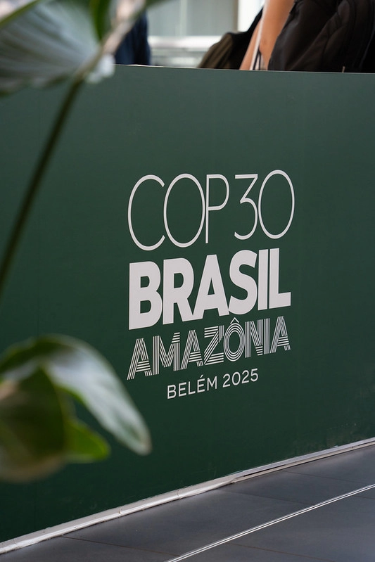 Imagem propriedade da Brasil de Direitos