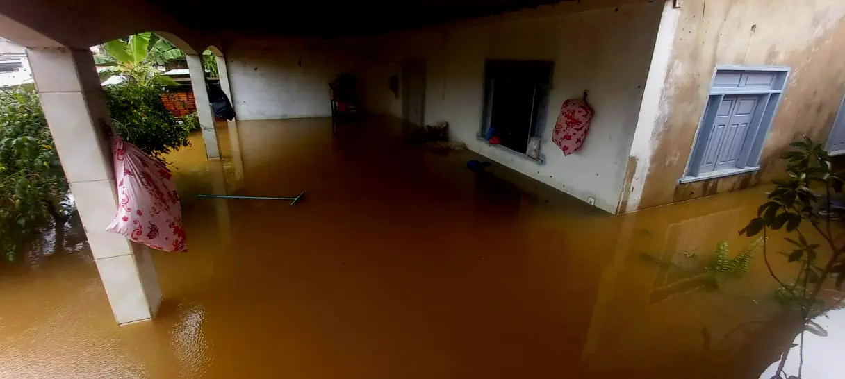 Imagem propriedade da Brasil de Direitos