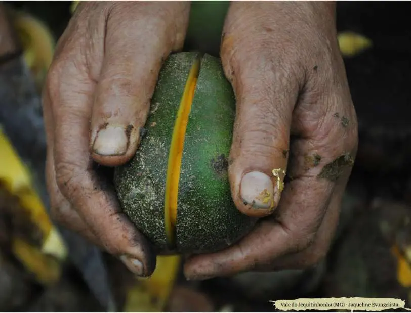 Imagem propriedade da Brasil de Direitos