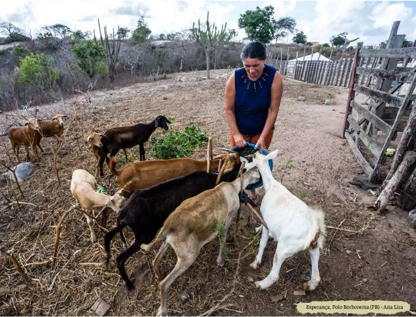 Imagem propriedade da Brasil de Direitos