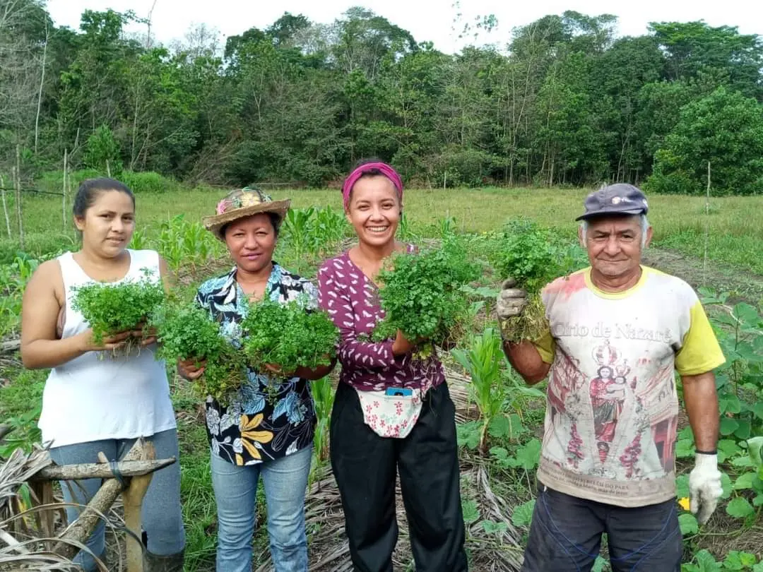 Imagem propriedade da Brasil de Direitos