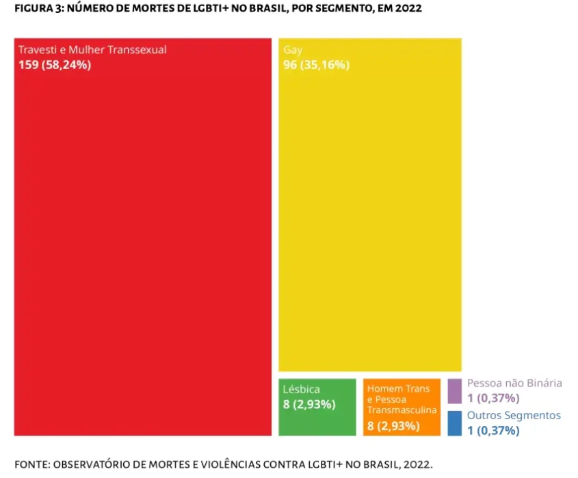 Infográfico sobre o Número de mortes de LGBTI+ no Brasil, por segmento, em 2022