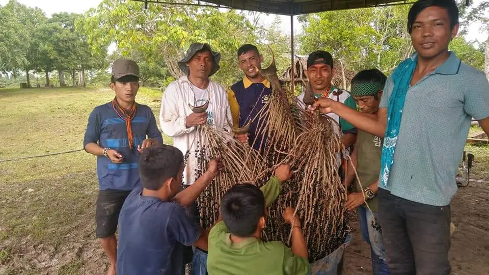 Imagem propriedade da Brasil de Direitos
